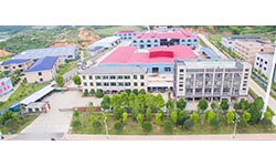 定了！2020年全國兩會召開時間